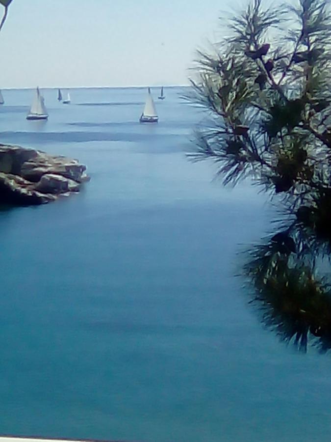 PalaiónTsiflíkion Everlasting Sea מראה חיצוני תמונה